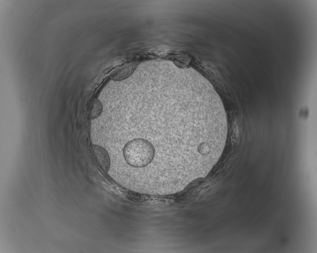 X0000115081105200911171147