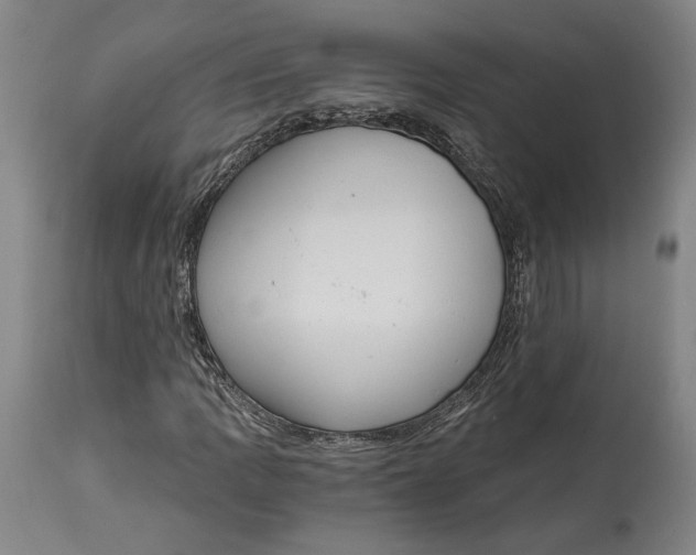 X0000115081109200911171147