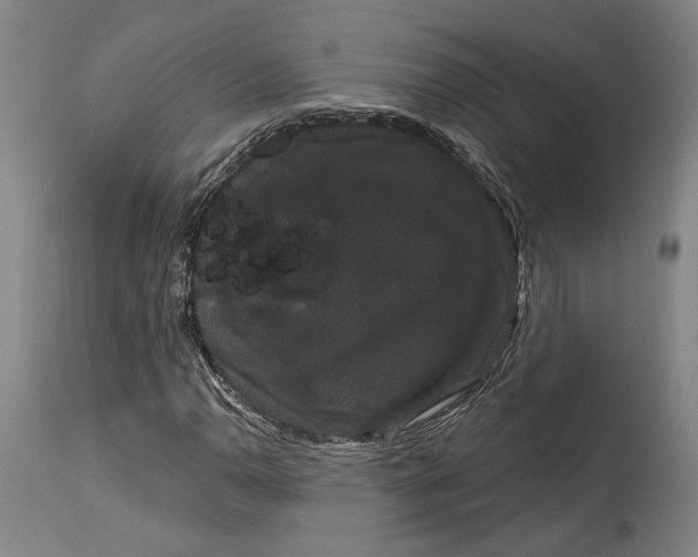 X0000115081110200911171147