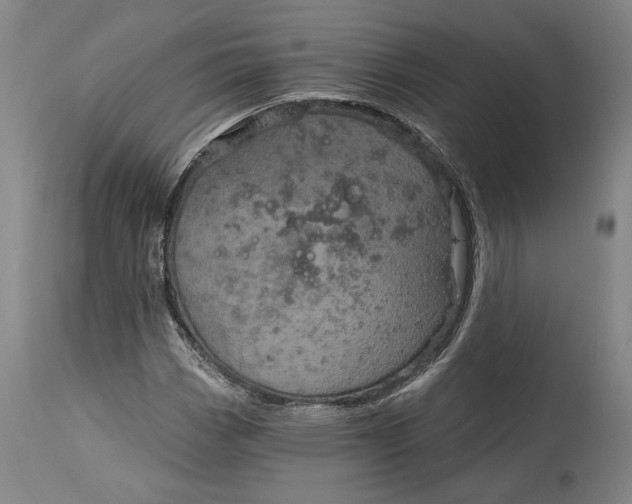 X0000115081113200911171147