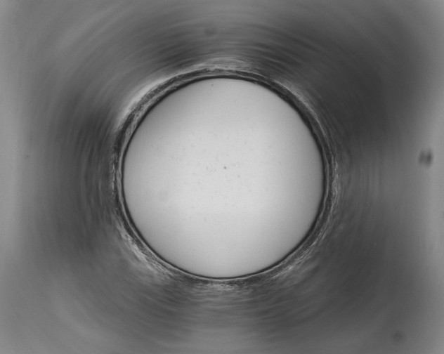 X0000115081115200911171147