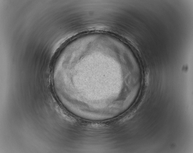 X0000115081117200911171147