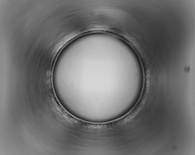 X0000115081121200911171147