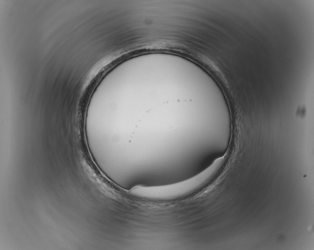 X0000115081122200911171147
