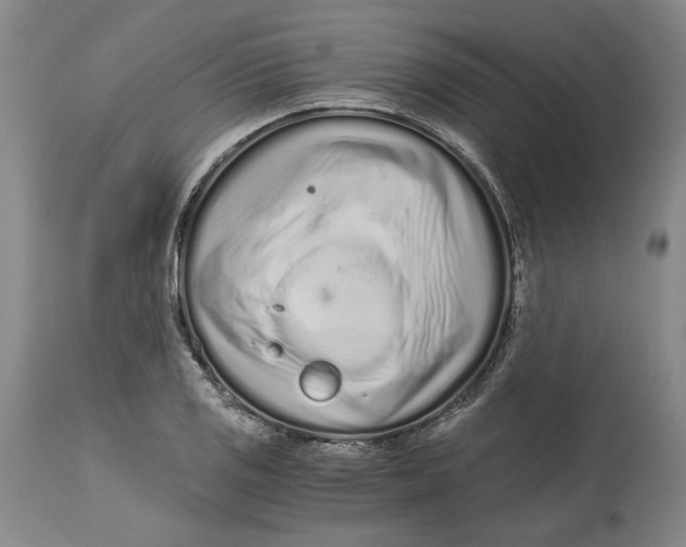 X0000115081125200911171147