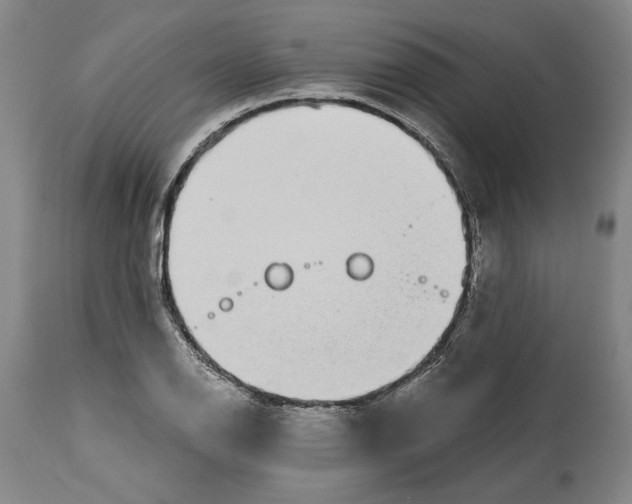X0000115081126200911171147