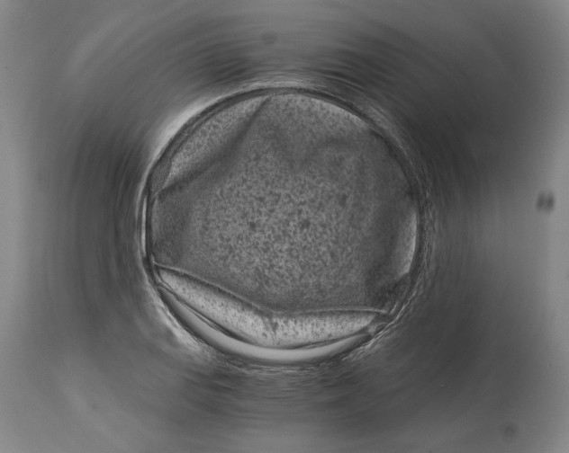 X0000115081127200911171147
