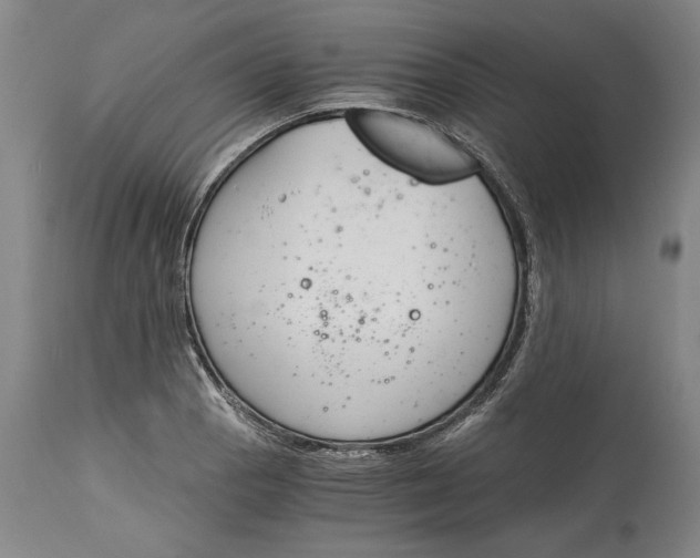 X0000115081129200911171147