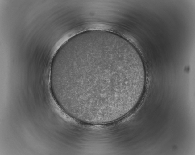 X0000115081130200911171147
