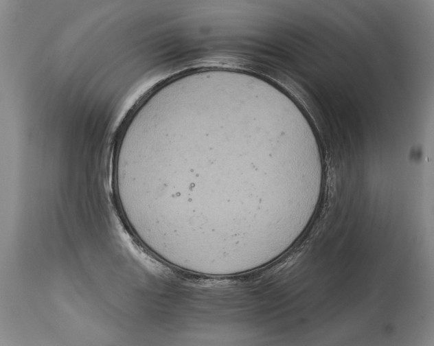 X0000115081131200911171147