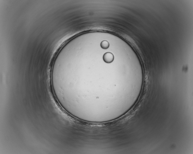 X0000115081133200911171147