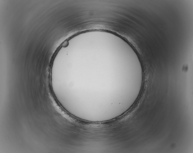 X0000115081134200911171147