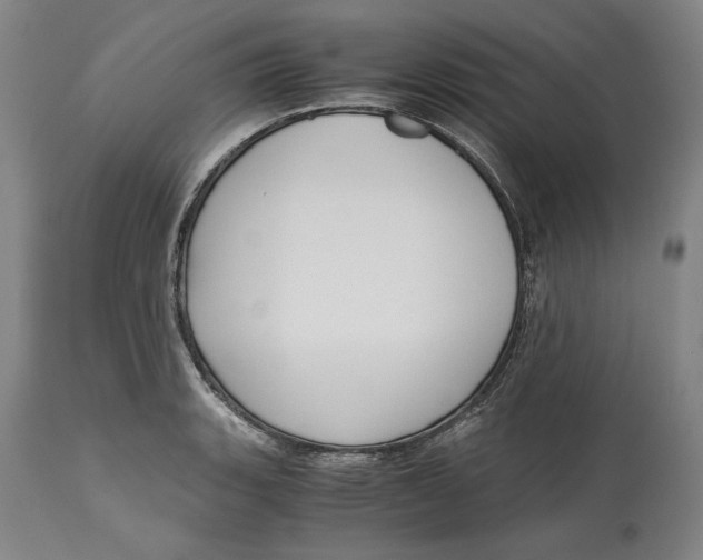X0000115081135200911171147
