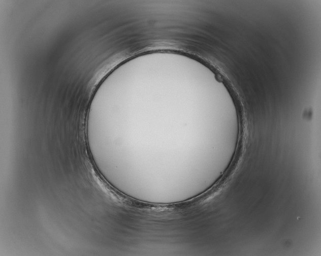 X0000115081137200911171147
