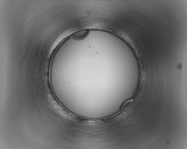 X0000115081138200911171147