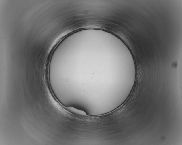 X0000115081139200911171147