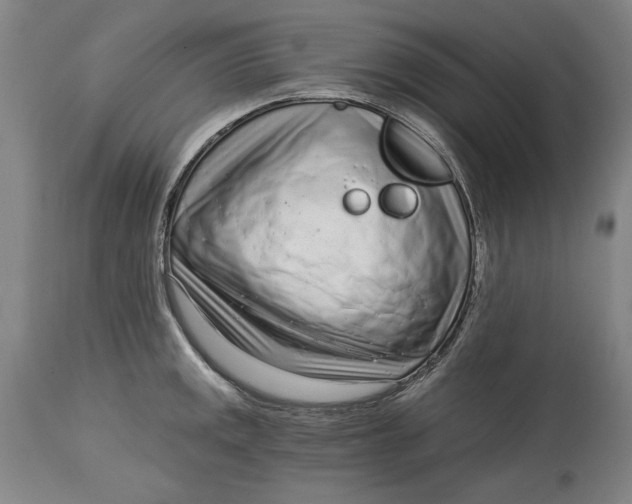 X0000115081141200911171147