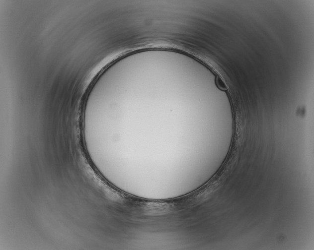 X0000115081142200911171147