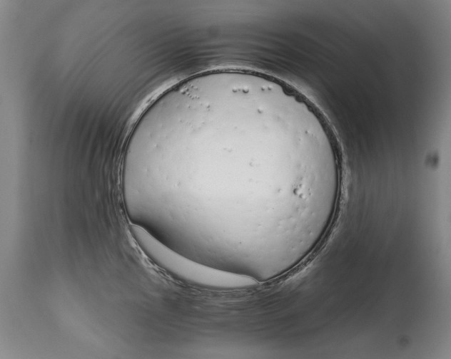 X0000115081145200911171147