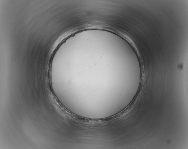 X0000115081146200911171147