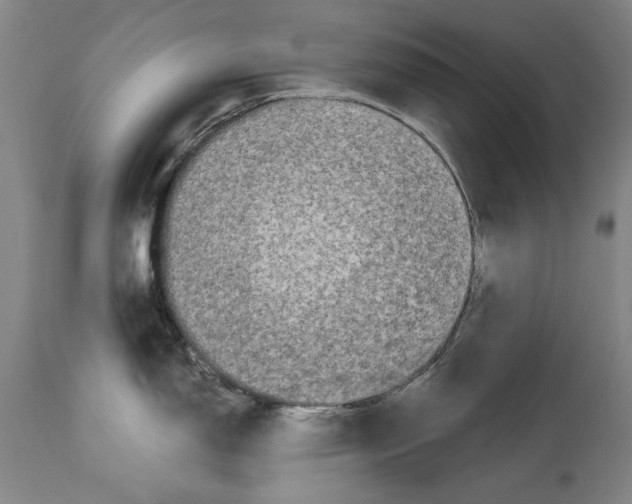 X0000115081150200911171147