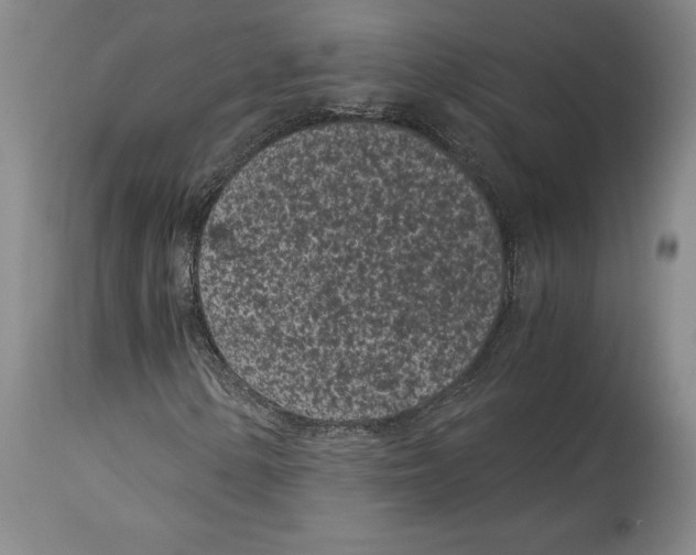 X0000115081154200911171147