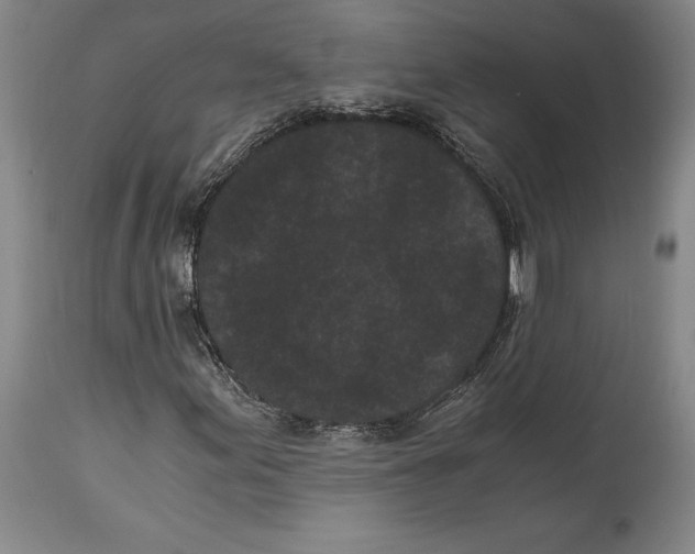 X0000115081155200911171147