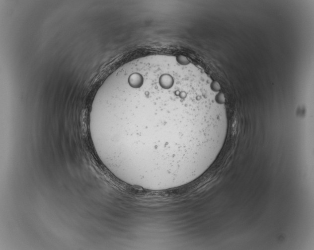 X0000115081156200911171147