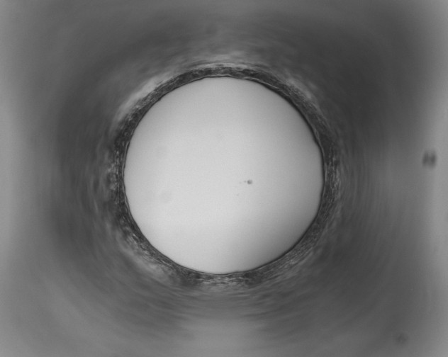 X0000115081159200911171147