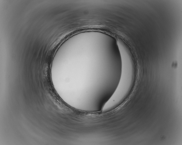 X0000115081161200911171147