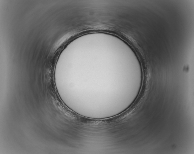 X0000115081163200911171147