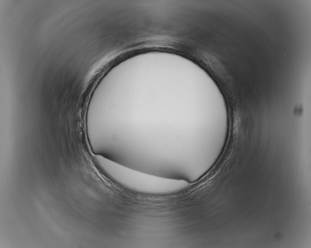 X0000115081164200911171147