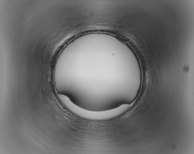 X0000115081165200911171146