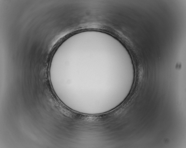 X0000115081166200911171146