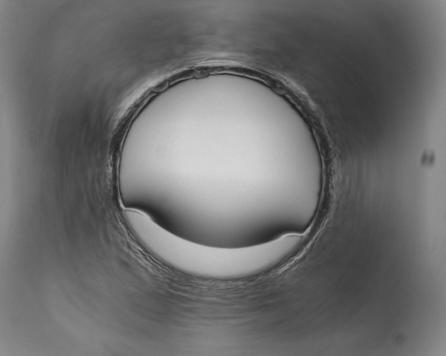 X0000115081167200911171146