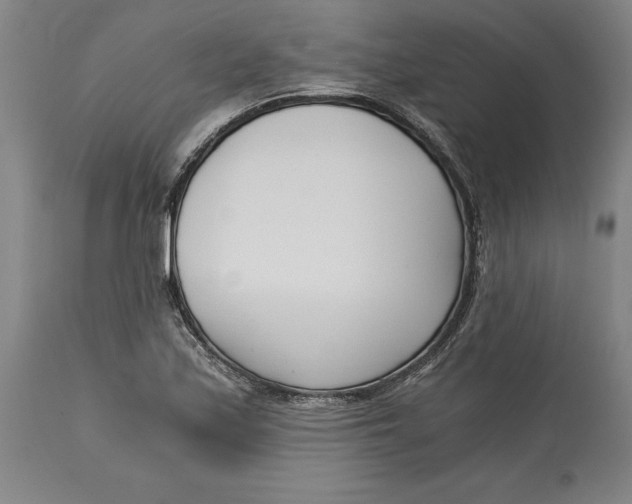 X0000115081171200911171146