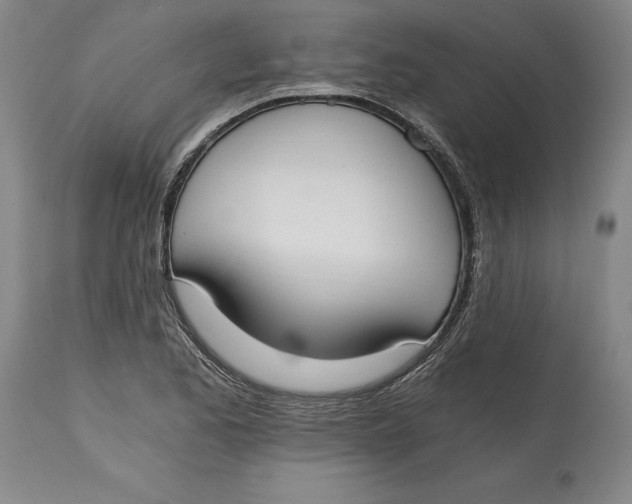 X0000115081173200911171146