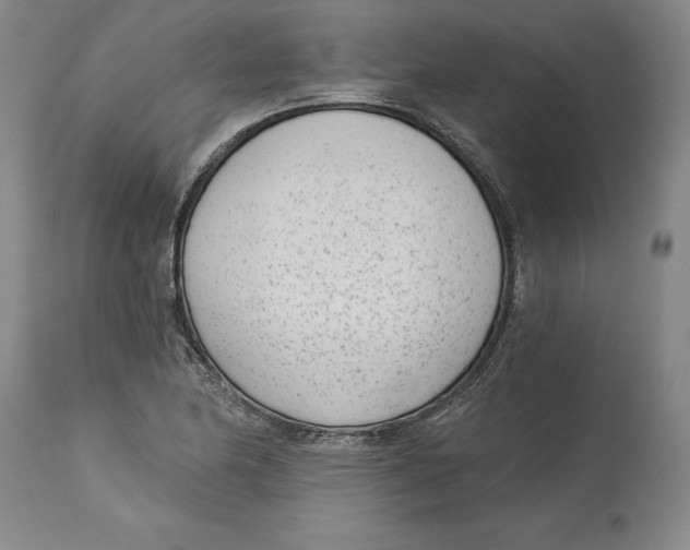 X0000115081174200911171146