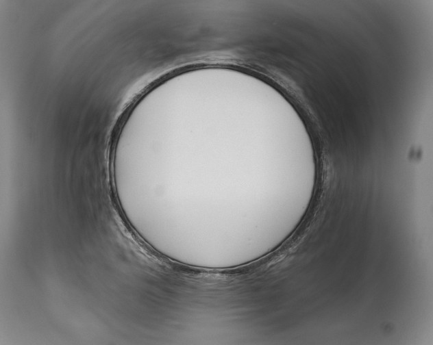 X0000115081176200911171146