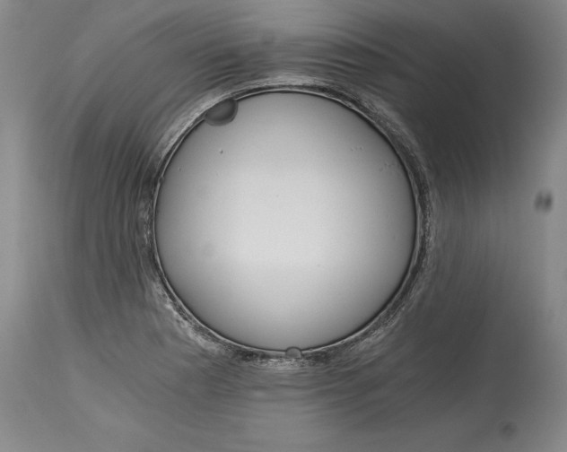 X0000115081177200911171146
