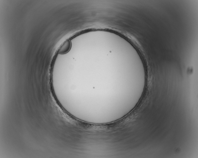 X0000115081183200911171146