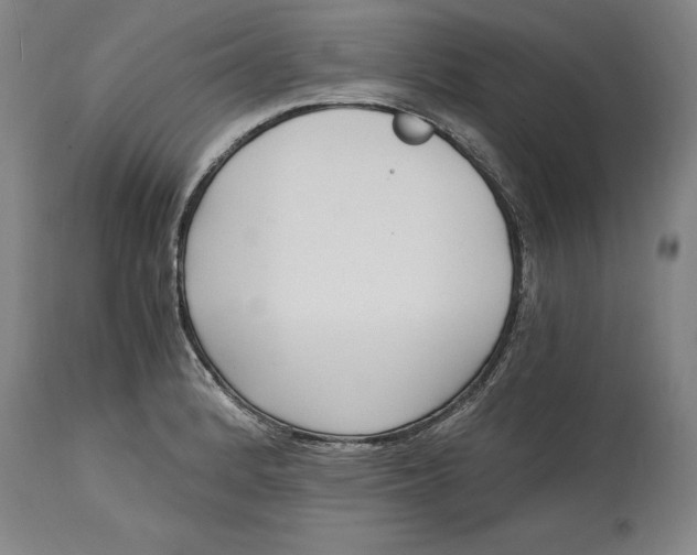 X0000115081184200911171146