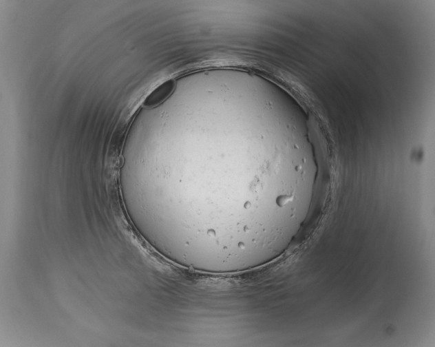 X0000115081185200911171146