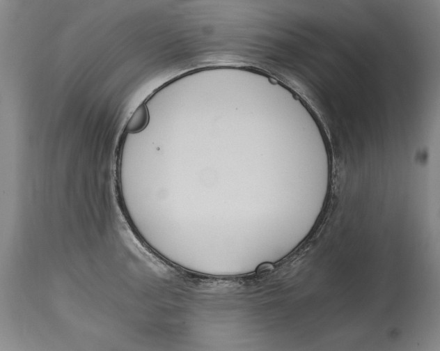 X0000115081187200911171146