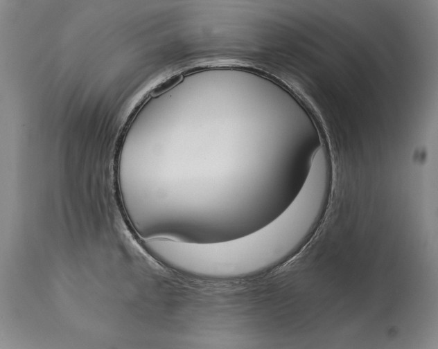 X0000115081189200911171146
