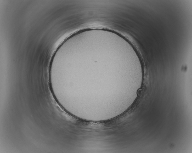 X0000115081191200911171146