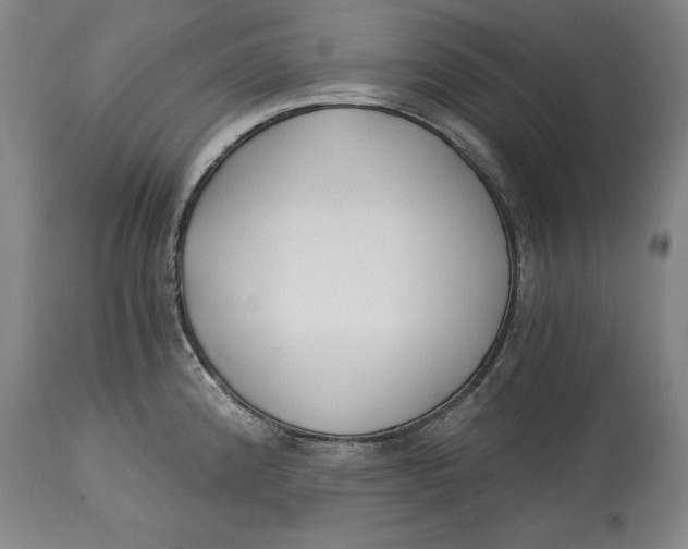 X0000115081192200911171146