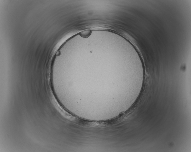 X0000115081195200911171146