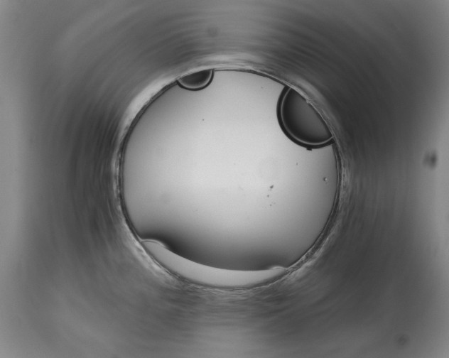 X0000115081196200911171146