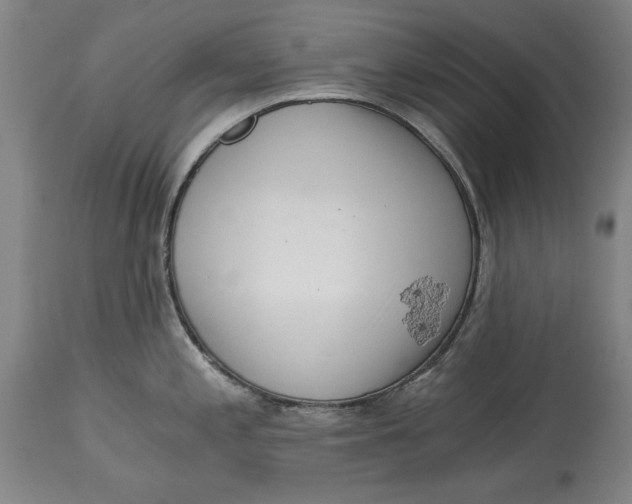 X0000115081197200911171146